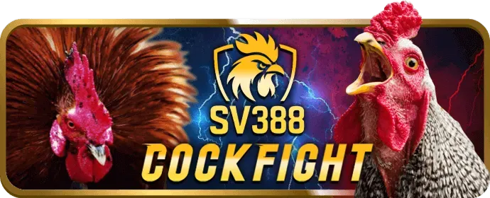 Các chương trình khuyến mãi và ưu đãi bet8s hấp dẫn